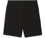 Vorschau: PUMA Herren Shorts teamFINAL Casuals Shorts