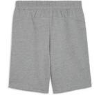 Vorschau: PUMA Herren Shorts teamGOAL Casuals Shorts