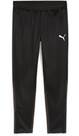 Vorschau: PUMA Herren Sporthose teamGOAL Training Pant