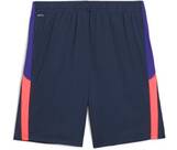 Vorschau: PUMA Herren Shorts IndividualLIGA Training Shorts 2 (open pockets)