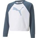 Vorschau: PUMA Kinder Sweatshirt Modern Sports Crew G