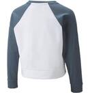 Vorschau: PUMA Kinder Sweatshirt Modern Sports Crew G