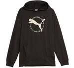 Vorschau: PUMA Herren Kapuzensweat BETTER SPORTSWEAR Hoodie T