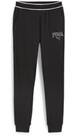 Vorschau: PUMA Herren Hose SQUAD Sweatpants TR c