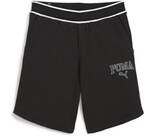 Vorschau: PUMA Herren Shorts SQUAD Shorts 9 TR