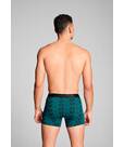 Vorschau: PUMA Herren Unterhose TERRACE PRINT BOXER 2P
