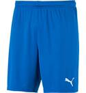 Vorschau: PUMA Herren Shorts teamGOAL 23 knit Shorts