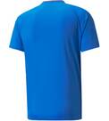 Vorschau: PUMA Herren Shirt teamVISION Jersey