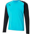 Vorschau: PUMA Herren Shirt teamPACER GK LS Jersey