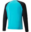 Vorschau: PUMA Herren Shirt teamPACER GK LS Jersey