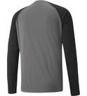 Vorschau: PUMA Herren Shirt teamPACER GK LS Jersey