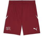 Vorschau: PUMA Herren Shorts SFV Shorts Replica