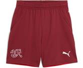 Vorschau: PUMA Kinder Shorts SFV Shorts Replica Jr