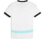 Vorschau: PUMA Kinder Fantrikot OEFB AWAY Jersey Replica J