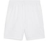 Vorschau: PUMA Herren Shorts OEFB Shorts Replica