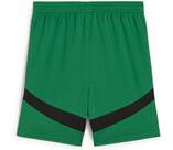 Vorschau: PUMA Kinder Shorts BMG Shorts Replica Jr