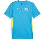 Vorschau: PUMA Herren Fantrikot MCFC Training Jersey
