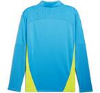Vorschau: PUMA Herren Shirt MCFC Training 1/4 Zip Top