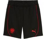 Vorschau: PUMA Herren Shorts FCSP Casuals Shorts