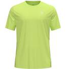 Sharp Green