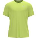 Sharp Green