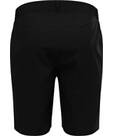 Vorschau: ODLO Herren Shorts ASCENT LIGHT