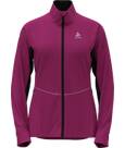 festival fuchsia - black