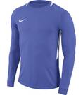 Vorschau: NIKE Fußball - Teamsport Textil - Torwarttrikots Park III Goalie Torwarttrikot Kids