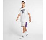 Vorschau: NIKE Herren Fanhose LAL MNK DF SWGMN SHORT ASC 18