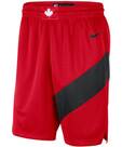 Vorschau: NIKE Herren Fanhose Toronto Raptors Icon Edition 2020 NBA