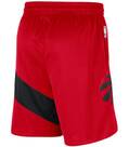 Vorschau: NIKE Herren Fanhose Toronto Raptors Icon Edition 2020 NBA