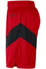 Vorschau: NIKE Herren Fanhose Toronto Raptors Icon Edition 2020 NBA
