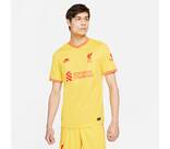 Vorschau: NIKE Herren Fantrikot LFC MNK DF STAD JSY SS 3R