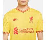 Vorschau: NIKE Herren Fantrikot LFC MNK DF STAD JSY SS 3R