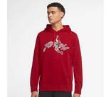 Vorschau: NIKE Herren Kapuzensweat M J DF AIR FLC GFX PO
