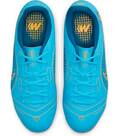 Vorschau: NIKE Kinder Fussball-Rasenschuhe JR VAPOR 14 ACADEMY FG/MG