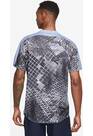 Vorschau: NIKE Herren Shirt M NKCT DF VICTORY TOP NOVELTY