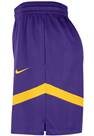 Vorschau: NIKE Herren Fanhose LAL MNK DF PRAC ICON+ 8IN