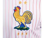 Vorschau: NIKE Herren Fantrikot FFF 2024 Stadium Away Men's Dri-FIT Soccer Replica Jersey