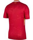 Vorschau: NIKE Herren Trikot Liverpool FC 2024/25 Stadium Home Dri-FIT