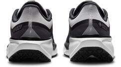 Vorschau: NIKE Damen Laufschuhe W AIR ZM PEGASUS 41 GTX