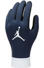 Vorschau: NIKE Kinder Handschuhe Y PSG NK ACDMY THERMAFIT- HO23