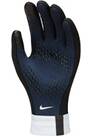 Vorschau: NIKE Kinder Handschuhe Y PSG NK ACDMY THERMAFIT- HO23