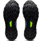 Vorschau: ASICS Herren Trailrunningschuhe GEL-Trabuco 10 GTX