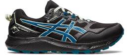 Vorschau: ASICS Herren Trailrunningschuhe GEL-SONOMA™ 7 GTX