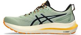 Vorschau: ASICS Herren Laufschuhe GT-2000 12 TR