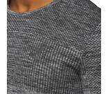 Vorschau: Herren RACE SEAMLESS LS