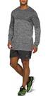 Vorschau: Herren RACE SEAMLESS LS