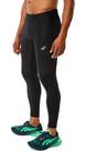 Vorschau: ASICS Herren Tights WINTER RUN TIGHT