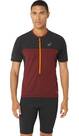 Vorschau: ASICS Herren T-Shirt FUJITRAIL™ SS TOP